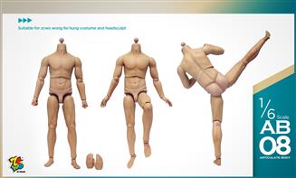 Muscular Body - Suitable for Wong Fei Hnug